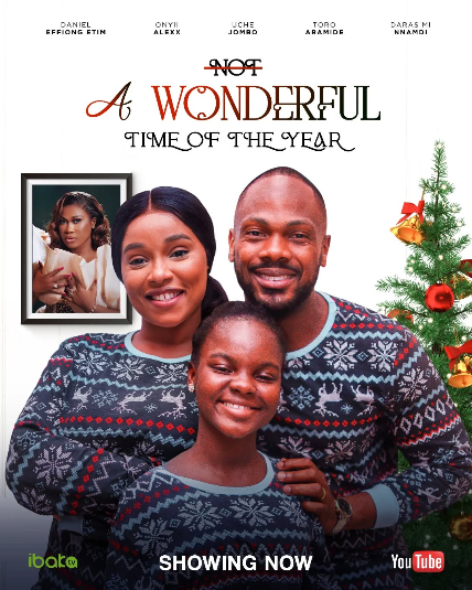 Not a Wonderful Year (2024)